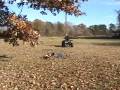 videos de Stunts 2 really funny