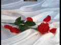 ven tu Dominc M. Para ti con amor