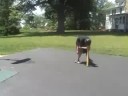 RWPP Bloopers