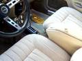 AMC Pacer wagon, V-8