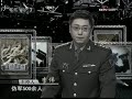 名将与名战之华侨上将名将叶飞 - part 8