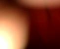 festan�a loka