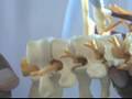Chiropractic Care Services & Treatments : What is Cervical Spinal Decompression?