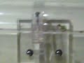 weird ant tube thing