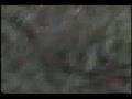 English video project