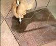 Concrete Etching Video—Wasp & Dremel—ConcreteNetwork.com