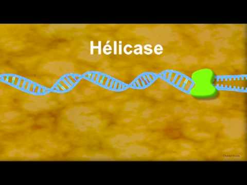 Image de prévisualisation YouTube