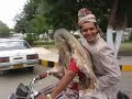 Shadi Day Rukhsati