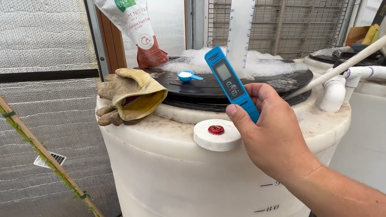 5/31 Giant Pumpkin Update! Hello Summer.