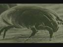 aleg03.wmv aleg03.wmv