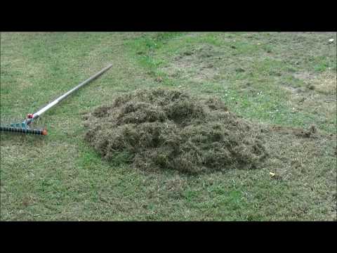 Rasen Vertikutieren mit der Hand// Einfach und richtig!