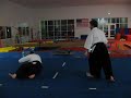 Aikido Fun