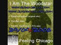 i am the woodstar presents his modern take on chicago classic house, available to download from all good online stores 29/09/2008