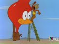 Pica Pau - Chefe Charlie Cavalo Pica Pau - Chefe Charlie Cavalo