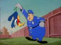 woody woodpecker   the screwball