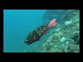 Tulamben - Uss Liberty Wreck - Part 1 Tulamben - Uss Liberty Wreck - Part 1