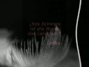 thomas d & laotse- der eine schlag