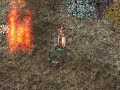 Ragnarok Online overkilling Geographers w/ Firepillar [euRO]