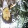Open My Eyes - Nazz
