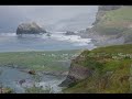 Newfoundland March of the Puffins