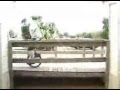 UniCore: The Early Days