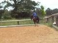 videos de Ferndale Mistral