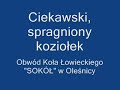 sarny zwierzęta koziołek las polowanie myśliwi