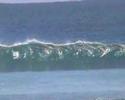 Spartaco surfing in Gnaraloo