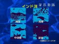 Seiko Ocean Theater, el mundo submarino salpica tu dormitorio