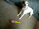 Riley with new toy