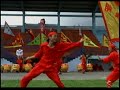 Vietnam Dragon & Lion Dance Show 3