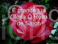 HINO 360-ROSA DE SARON