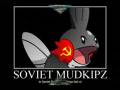 videos de Mudkipz n Manateeeeeees