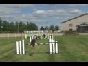Susan Garretts New Weave Training DVD