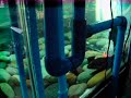 DIY Overflow