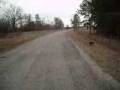 videos de Silly Children on a 3 Mile Walk Take 2