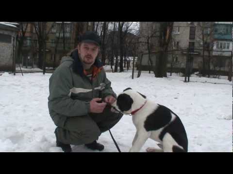 YouTube Трейлер