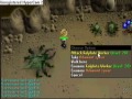 curl99 and dmurda867  at kalphite queen & kbd sub and coment plox