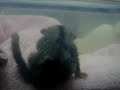 MOV02122 MOV02122