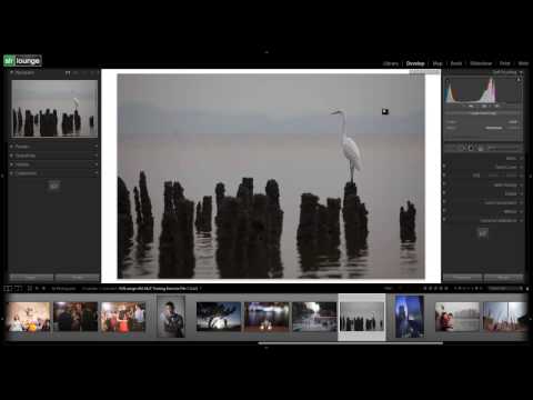 soft - Learn more or purchase at - http://www.slrlounge.com/store-product/adobe-photoshop-lightroom-4-dvd-guide-a-z-tutorials-for-mastering-adobe-lightroom-digital-...