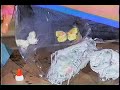 Decoupage with Durwin Rice - Distressed Furniture Fix