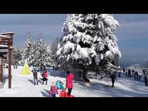 Развлечения горнолыжного курорта Мариборское Похорье