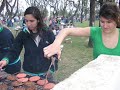 Primavera Humanidades