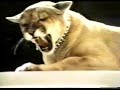 TV Commercial Mercury Cougar 1975