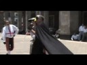 el loro negro 4 de 4