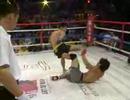 Art of War® FC VI Highlight Reel - MMA China