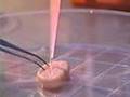 Tissue Engineering -- Building Body Parts
