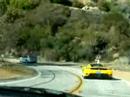 Malibu Run! Malibu Run!
