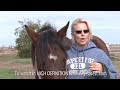 jodi tuft sell your horse watermark-jodi tuft-H 264 for Video Podcasting jodi tuft sell your horse watermark-jodi tuft-H 264 for Video Podcasting