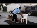 German Shepherd Obedience Pakros German Shepherd Obedience Pakros